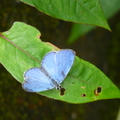 2014陽明山國家公園