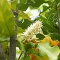 2022.2-3月-植物園