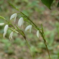 2023.03-06月.植物園