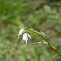 2023.03-06月.植物園