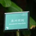 2022.2-3月-植物園