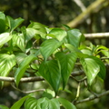 2016福山植物園