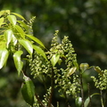 2016福山植物園