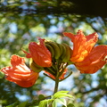 2020.2月.植物園