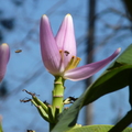 2020.2月.植物園