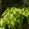 2016福山植物園