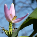 2020.2月.植物園