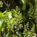 2016福山植物園