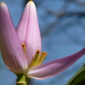 2020.2月.植物園