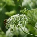 2024.04-06月.植物園