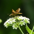 2024.04-06月.植物園