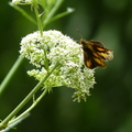 2024.04-06月.植物園