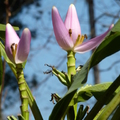 2020.2月.植物園