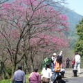 2024陽明山(花卉試驗中心.二子坪....)