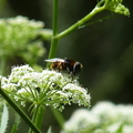 2024.04-06月.植物園