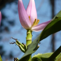 2020.2月.植物園