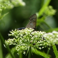 2024.04-06月.植物園