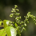 2016福山植物園