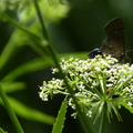 2024.04-06月.植物園