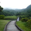 2023.08月.陽明山(二子坪.冷水坑.大屯自然公園....)