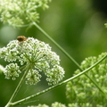 2024.04-06月.植物園