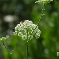 2024.04-06月.植物園