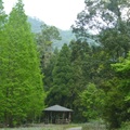 2014福山植物園