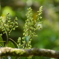 2016福山植物園