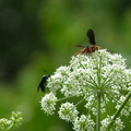 2024.04-06月.植物園