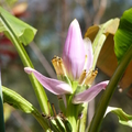 2020.2月.植物園