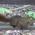 2022.2-3月-植物園