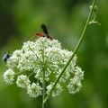 2024.04-06月.植物園