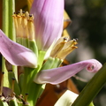 2020.2月.植物園