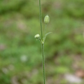 2024.04-06月.植物園