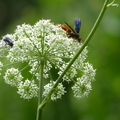 2024.04-06月.植物園