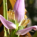 2020.2月.植物園