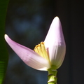 2020.2月.植物園