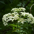 2022.04-06月 植物園