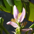 2020.2月.植物園