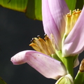 2020.2月.植物園