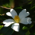 2020.2月.植物園