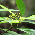 2023.03-06月.植物園