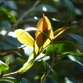 2020.2月.植物園