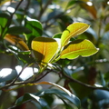 2020.2月.植物園