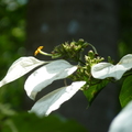 2023.03-06月.植物園