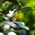 2020.2月.植物園