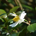 2020.2月.植物園