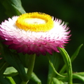 2020.2月.植物園