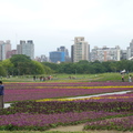 2023.01.26古亭河濱花海.自來水園區