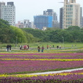 2023.01.26古亭河濱花海.自來水園區